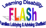 flash logo.jpg 2
